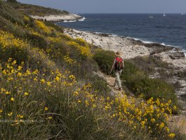 Il sentiero delle orchidee