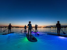 Stand Up Paddling Glow Night Toure